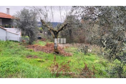 Tomt i Amarante, Porto, Amarante - € 65 000 | Ref: MC09433 - foto 8