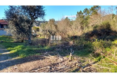 Tomt i Amarante, Porto, Amarante - € 65 000 | Ref: MC09433 - foto 3
