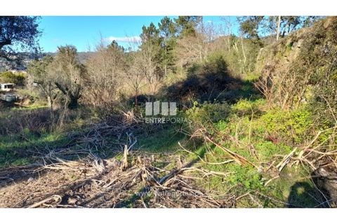 Tomt i Amarante, Porto, Amarante - € 65 000 | Ref: MC09433 - foto 4