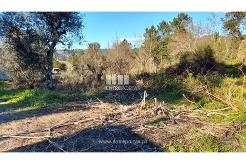 Tomt i Amarante, Porto, Amarante - € 65 000 | Ref: MC09433 - foto 5