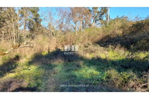 Tomt i Amarante, Porto, Amarante - € 65 000 | Ref: MC09433 - foto 10