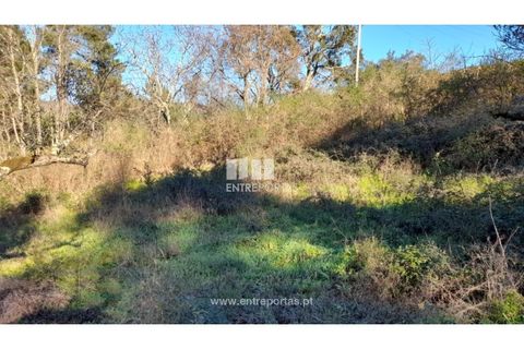 Tomt i Amarante, Porto, Amarante - € 65 000 | Ref: MC09433 - foto 11