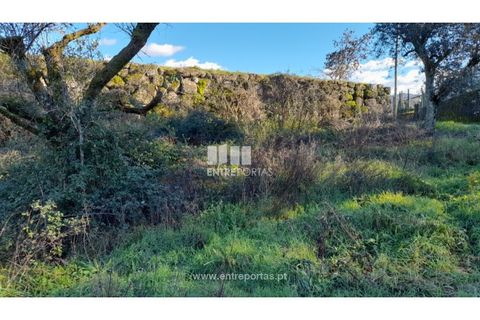 Tomt i Amarante, Porto, Amarante - € 65 000 | Ref: MC09433 - foto 12