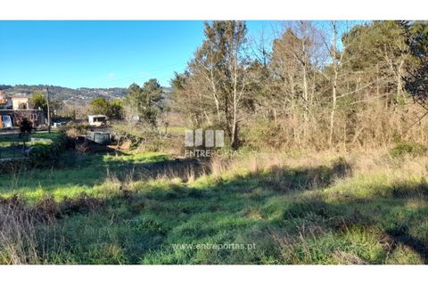 Tomt i Amarante, Porto, Amarante - € 65 000 | Ref: MC09433 - foto 14