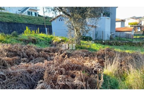 Tomt i Amarante, Porto, Amarante - € 65 000 | Ref: MC09433 - foto 15