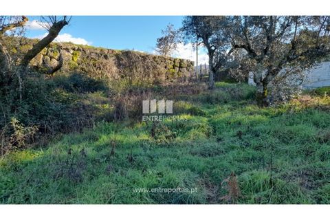 Tomt i Amarante, Porto, Amarante - € 65 000 | Ref: MC09433 - foto 16