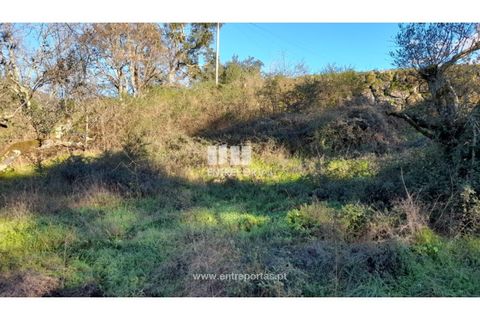 Tomt i Amarante, Porto, Amarante - € 65 000 | Ref: MC09433 - foto 17