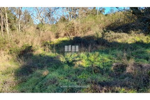 Tomt i Amarante, Porto, Amarante - € 65 000 | Ref: MC09433 - foto 18