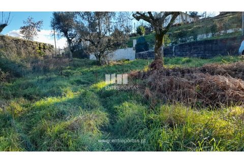 Tomt i Amarante, Porto, Amarante - € 65 000 | Ref: MC09433 - foto 21