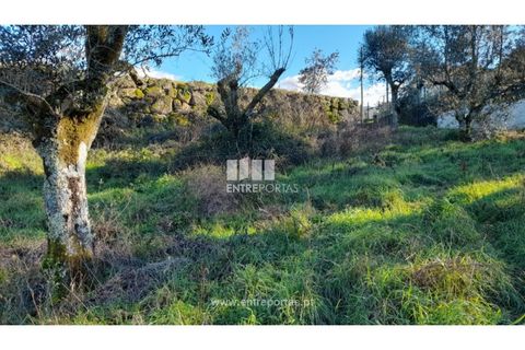 Tomt i Amarante, Porto, Amarante - € 65 000 | Ref: MC09433 - foto 22
