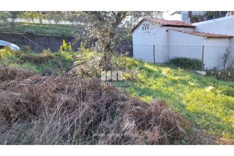Tomt i Amarante, Porto, Amarante - € 65 000 | Ref: MC09433 - foto 23