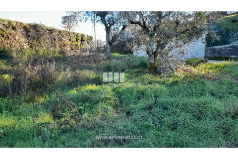 Tomt i Amarante, Porto, Amarante - € 65 000 | Ref: MC09433 - foto 27