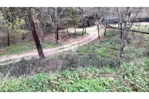 Helårsgrund i Amarante, Porto, Amarante - € 40.000 | Ref: MC09434 - foto 1