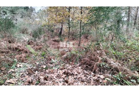 Helårsgrund i Amarante, Porto, Amarante - € 40.000 | Ref: MC09434 - foto 5