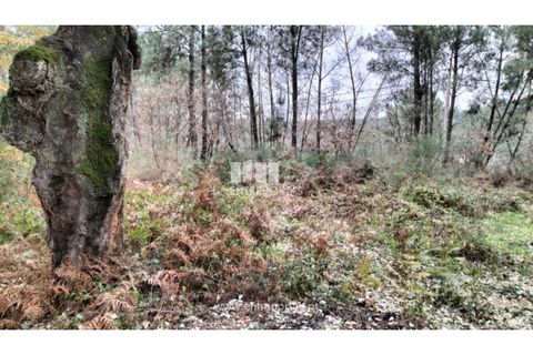 Helårsgrund i Amarante, Porto, Amarante - € 40.000 | Ref: MC09434 - foto 6