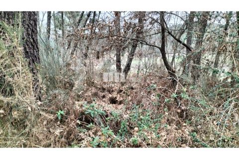 Helårsgrund i Amarante, Porto, Amarante - € 40.000 | Ref: MC09434 - foto 7