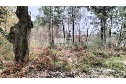 Helårsgrund i Amarante, Porto, Amarante - € 40.000 | Ref: MC09434 - foto 12