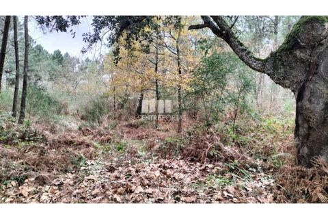 Helårsgrund i Amarante, Porto, Amarante - € 40.000 | Ref: MC09434 - foto 13