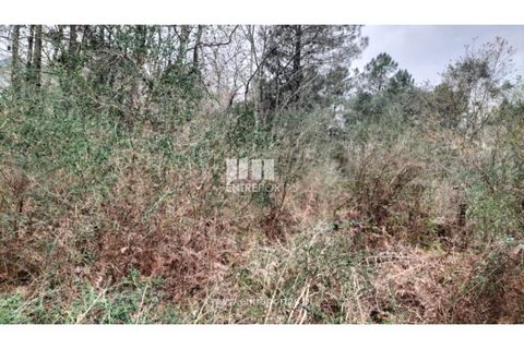 Helårsgrund i Amarante, Porto, Amarante - € 40.000 | Ref: MC09434 - foto 18