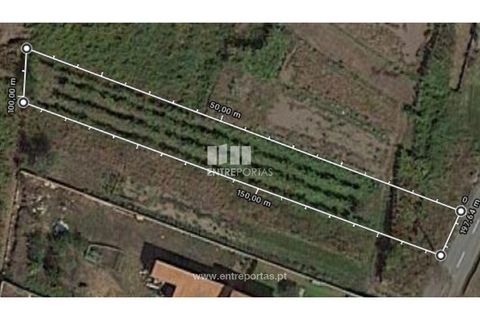Helårsgrund i Barcelos, Braga, Barcelos - € 32.000 | Ref: VCC13956 - foto 8