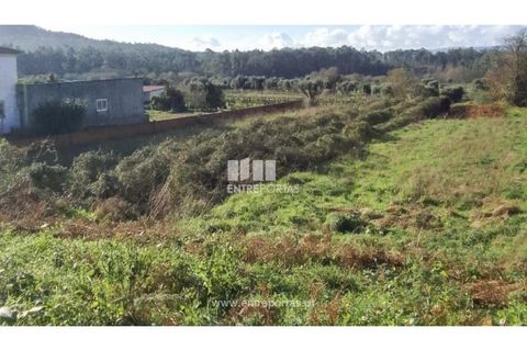 Helårsgrund i Barcelos, Braga, Barcelos - € 32.000 | Ref: VCC13956 - foto 23