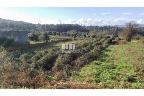 Helårsgrund i Barcelos, Braga, Barcelos - € 32.000 | Ref: VCC13956 - foto 26