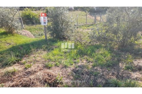 Terreno en Amarante, Porto, Amarante - € 37.000 | Ref: MC09370 - photo 9