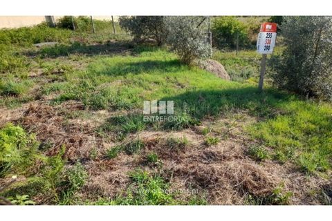 Terreno en Amarante, Porto, Amarante - € 37.000 | Ref: MC09370 - photo 10
