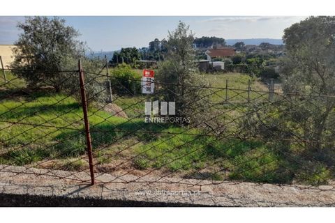 Terreno en Amarante, Porto, Amarante - € 37.000 | Ref: MC09370 - photo 12