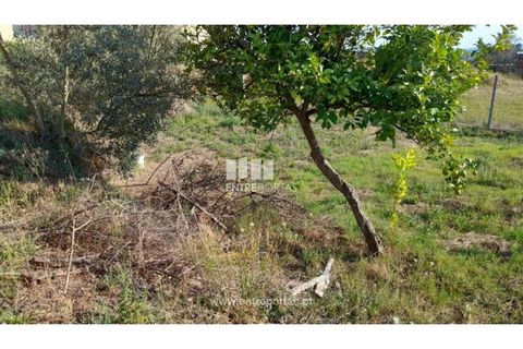 Terreno en Amarante, Porto, Amarante - € 37.000 | Ref: MC09370 - photo 25