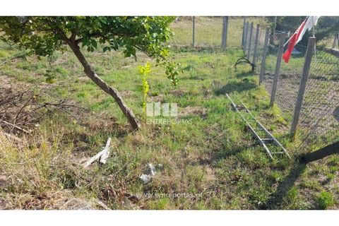 Terreno en Amarante, Porto, Amarante - € 37.000 | Ref: MC09370 - photo 26