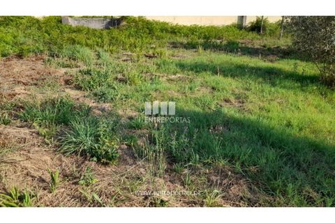Terreno en Amarante, Porto, Amarante - € 37.000 | Ref: MC09370 - photo 31