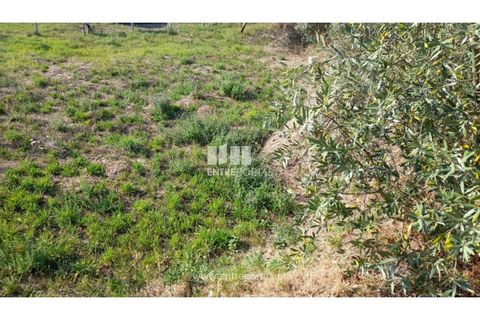 Terreno en Amarante, Porto, Amarante - € 37.000 | Ref: MC09370 - photo 38