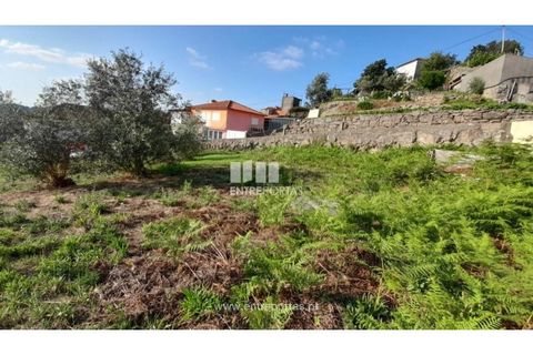 Terreno en Amarante, Porto, Amarante - € 37.000 | Ref: MC09370 - photo 43