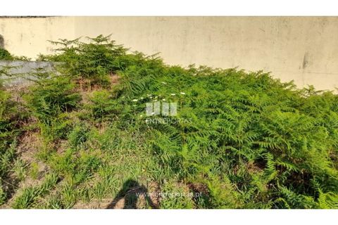 Terreno en Amarante, Porto, Amarante - € 37.000 | Ref: MC09370 - photo 45