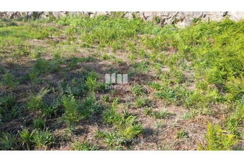 Terreno en Amarante, Porto, Amarante - € 37.000 | Ref: MC09370 - photo 46