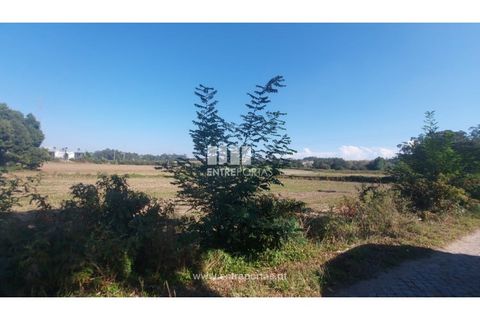 Helårsgrund i Vila do Conde, Porto, Vila do Conde - € 67.500 | Ref: VC04002 - foto 2