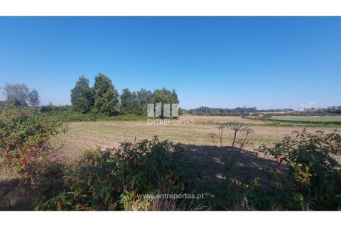 Helårsgrund i Vila do Conde, Porto, Vila do Conde - € 67.500 | Ref: VC04002 - foto 3