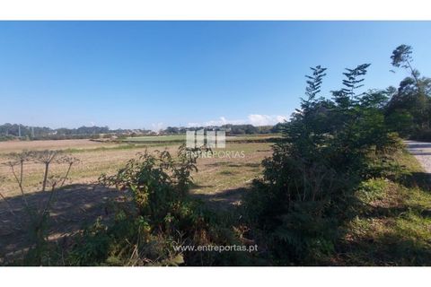 Helårsgrund i Vila do Conde, Porto, Vila do Conde - € 67.500 | Ref: VC04002 - foto 4