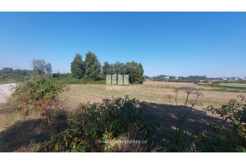 Helårsgrund i Vila do Conde, Porto, Vila do Conde - € 67.500 | Ref: VC04002 - foto 5