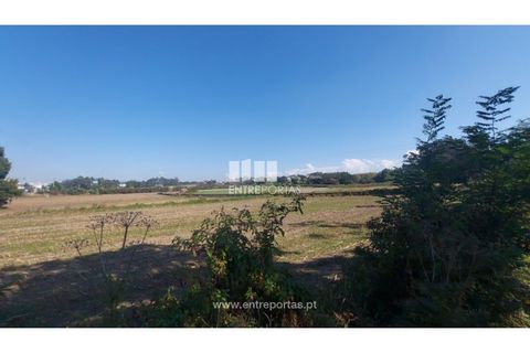 Helårsgrund i Vila do Conde, Porto, Vila do Conde - € 67.500 | Ref: VC04002 - foto 6