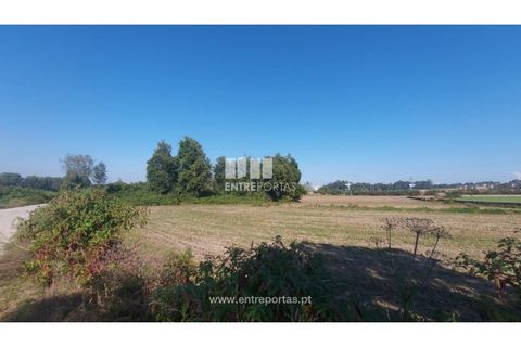 Helårsgrund i Vila do Conde, Porto, Vila do Conde - € 67.500 | Ref: VC04002 - foto 7