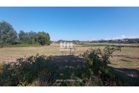 Helårsgrund i Vila do Conde, Porto, Vila do Conde - € 67.500 | Ref: VC04002 - foto 8