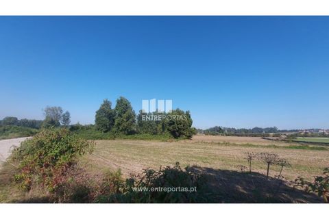 Helårsgrund i Vila do Conde, Porto, Vila do Conde - € 67.500 | Ref: VC04002 - foto 9