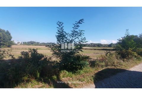 Helårsgrund i Vila do Conde, Porto, Vila do Conde - € 67.500 | Ref: VC04002 - foto 11