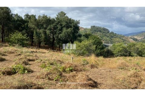 Tomt i Frende, Porto, Frende - € 42 500 | Ref: MC09385 - foto 2