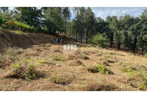 Tomt i Frende, Porto, Frende - € 42 500 | Ref: MC09385 - foto 3