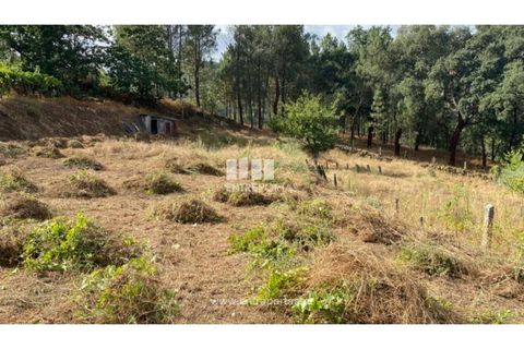Tomt i Frende, Porto, Frende - € 42 500 | Ref: MC09385 - foto 6