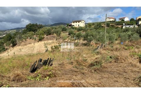 Tomt i Frende, Porto, Frende - € 42 500 | Ref: MC09385 - foto 8