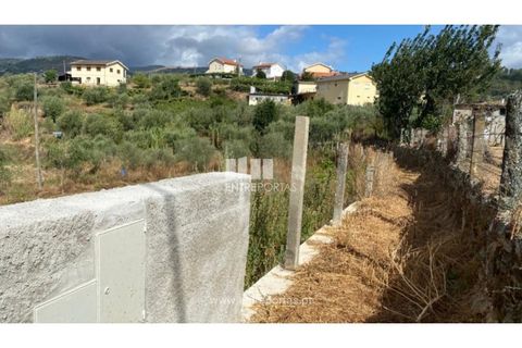 Tomt i Frende, Porto, Frende - € 42 500 | Ref: MC09385 - foto 9